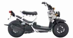 2007 Honda Ruckus 