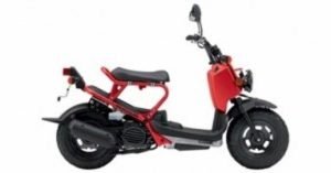 2009 Honda Ruckus 