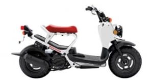 2013 Honda Ruckus 