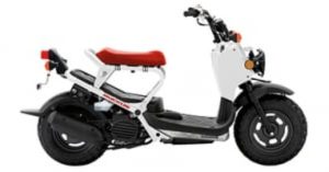 2019 Honda Ruckus | 2019 هوندا روكوس