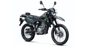 2021 Kawasaki KLX 300