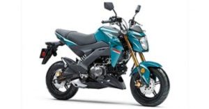 2021 Kawasaki Z125 PRO