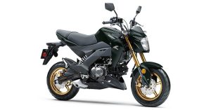 2025 Kawasaki Z125 PRO Base 