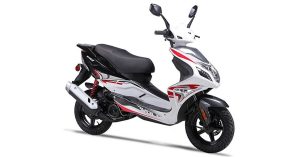 2026 Wolf Brand Scooters Blaze 50 | 2026 وولف براند سكوترز بليز 50